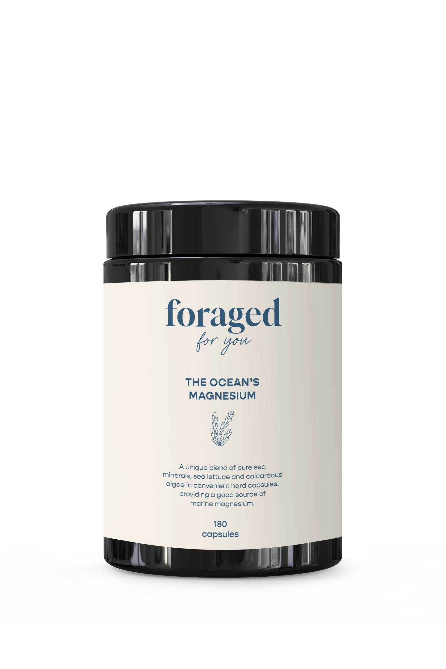 Foraged for You - The Ocean’s Magnesium