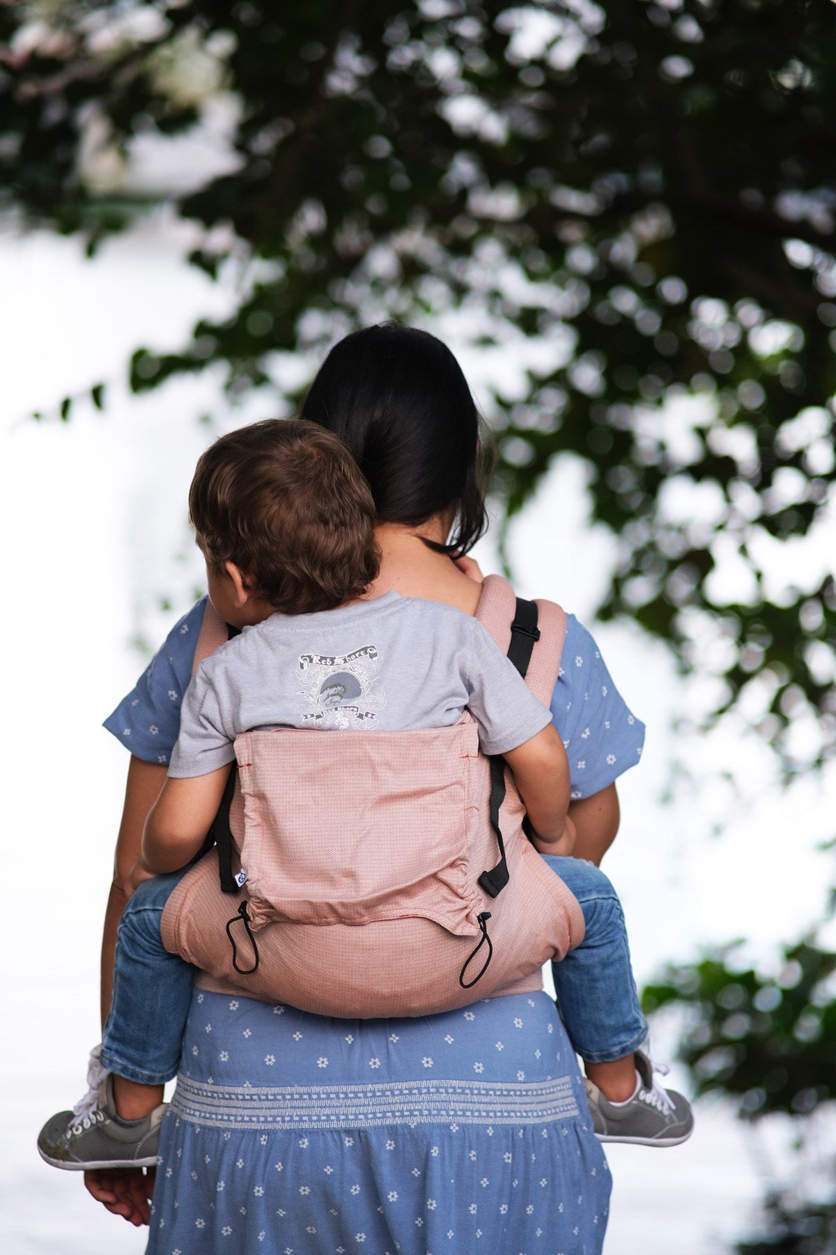 Neko store toddler carrier