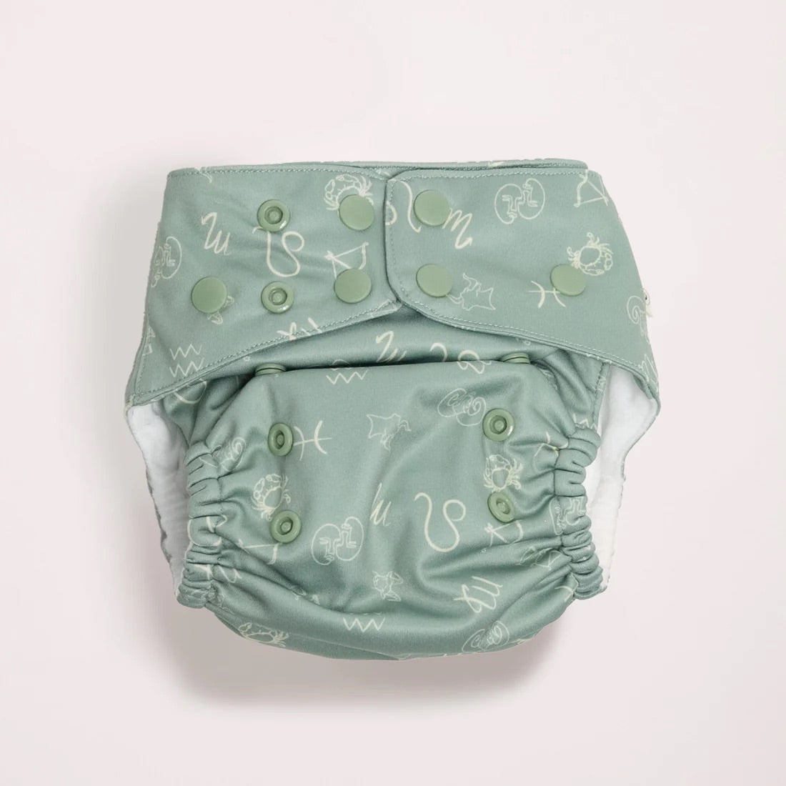 Eco Naps 2.0 Modern Cloth Nappy