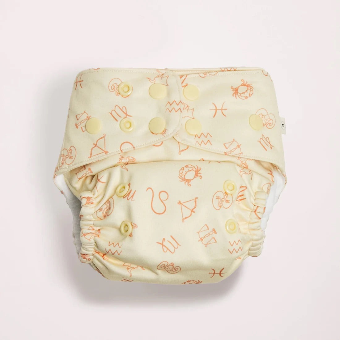 Eco Naps 2.0 Modern Cloth Nappy