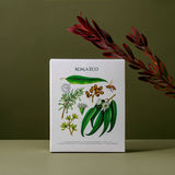 Terra Botanica Gift Set