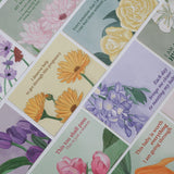 Hyperemesis Gravidarum Postcards - Mumma Mail