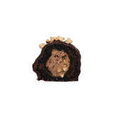 Cool Medjool - Hazelnut Crunch Twin Pack