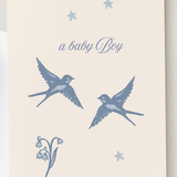 Bluebirds - a baby boy // Card