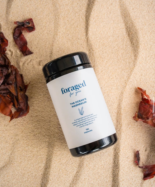 Foraged for You - The Ocean’s Magnesium