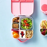 Bbox - Snack Tubs