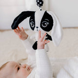 Billie The Bunny - Young Wonderer