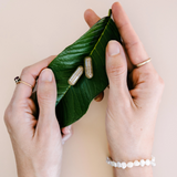 Foraged for You - Wild Zinc