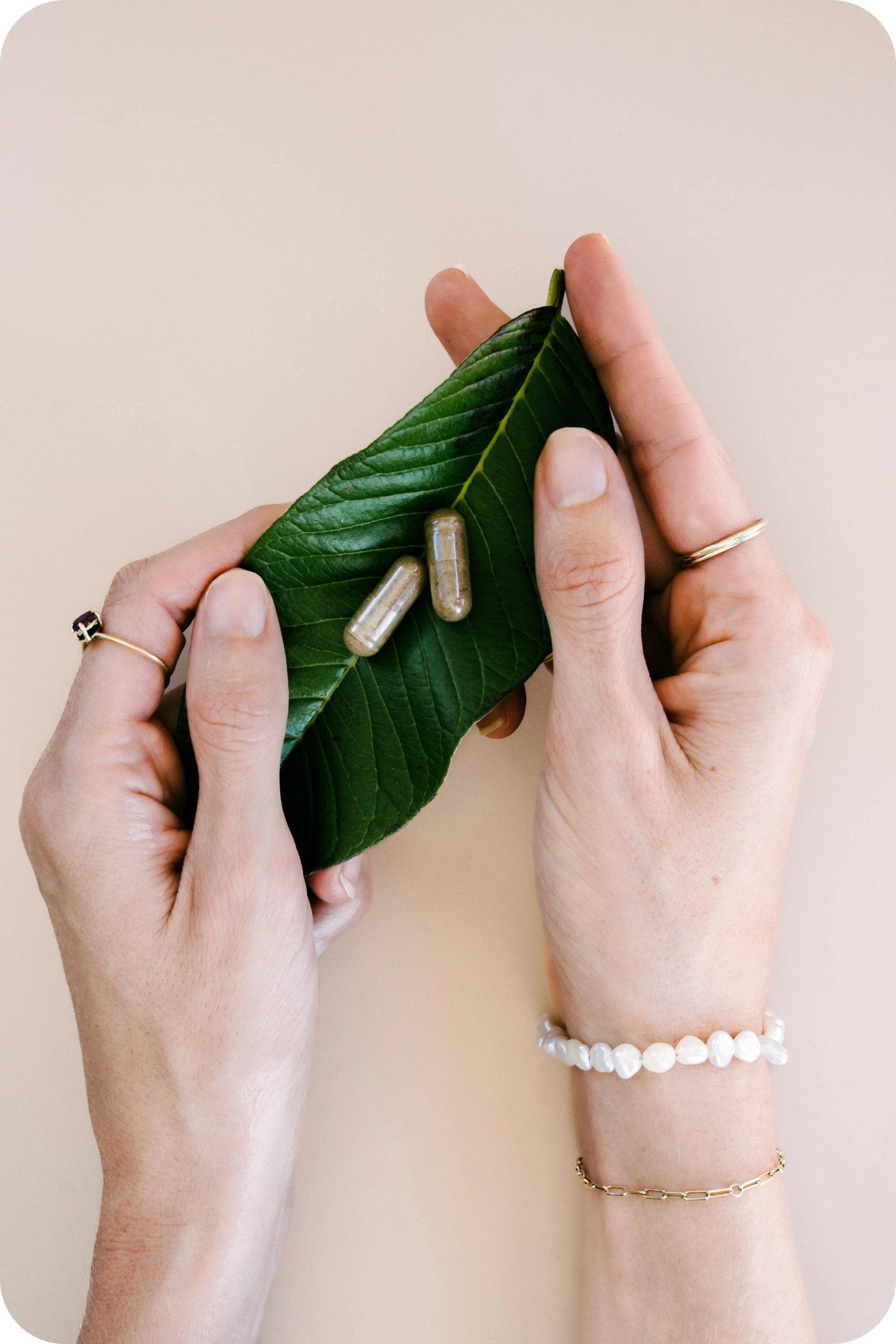 Foraged for You - Wild Zinc