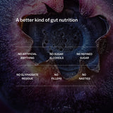 My Way Up - Daily Gut