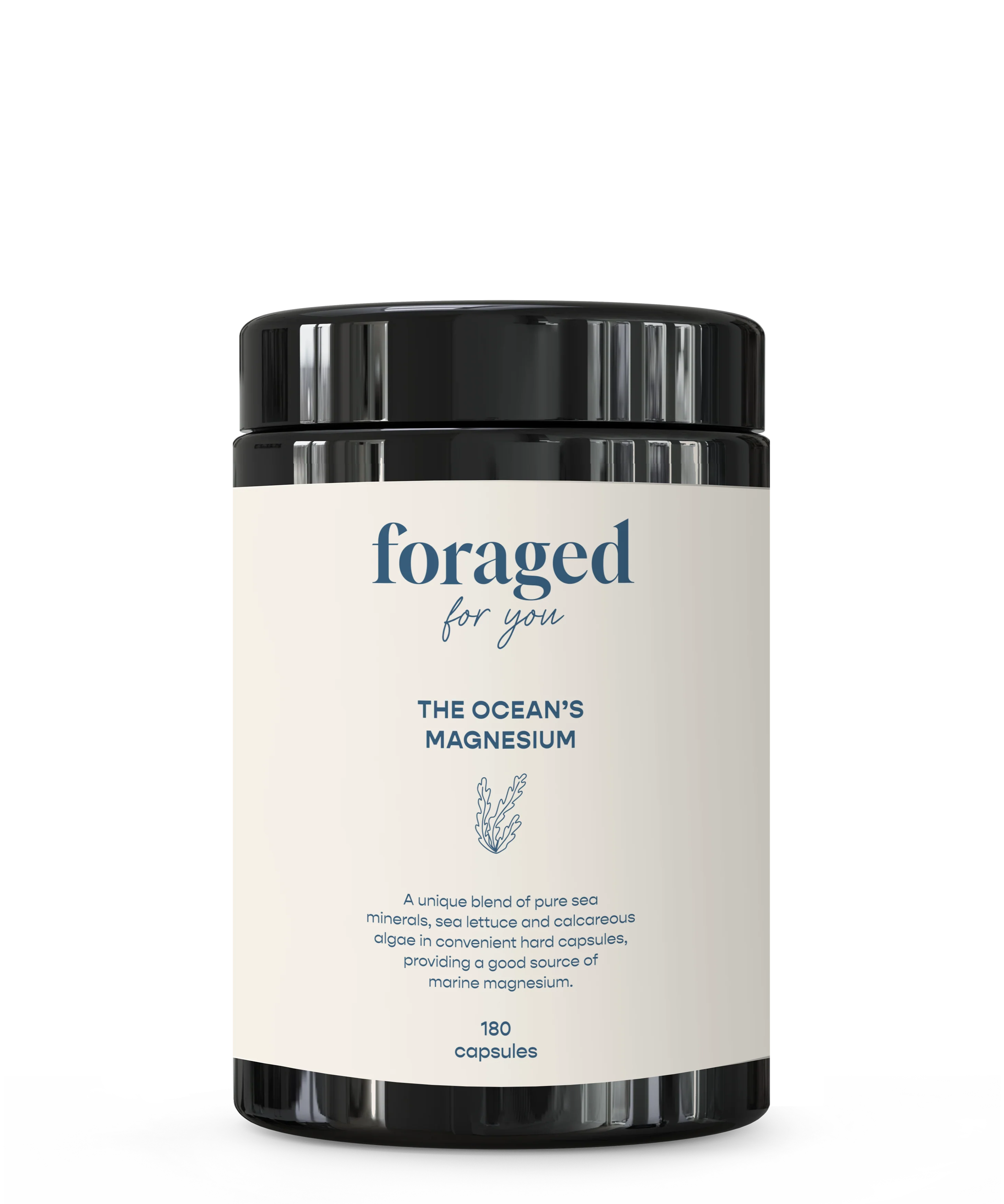 Foraged for You - The Ocean’s Magnesium