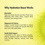 Lemon & Lime Hydration Boost - Milky Goodness