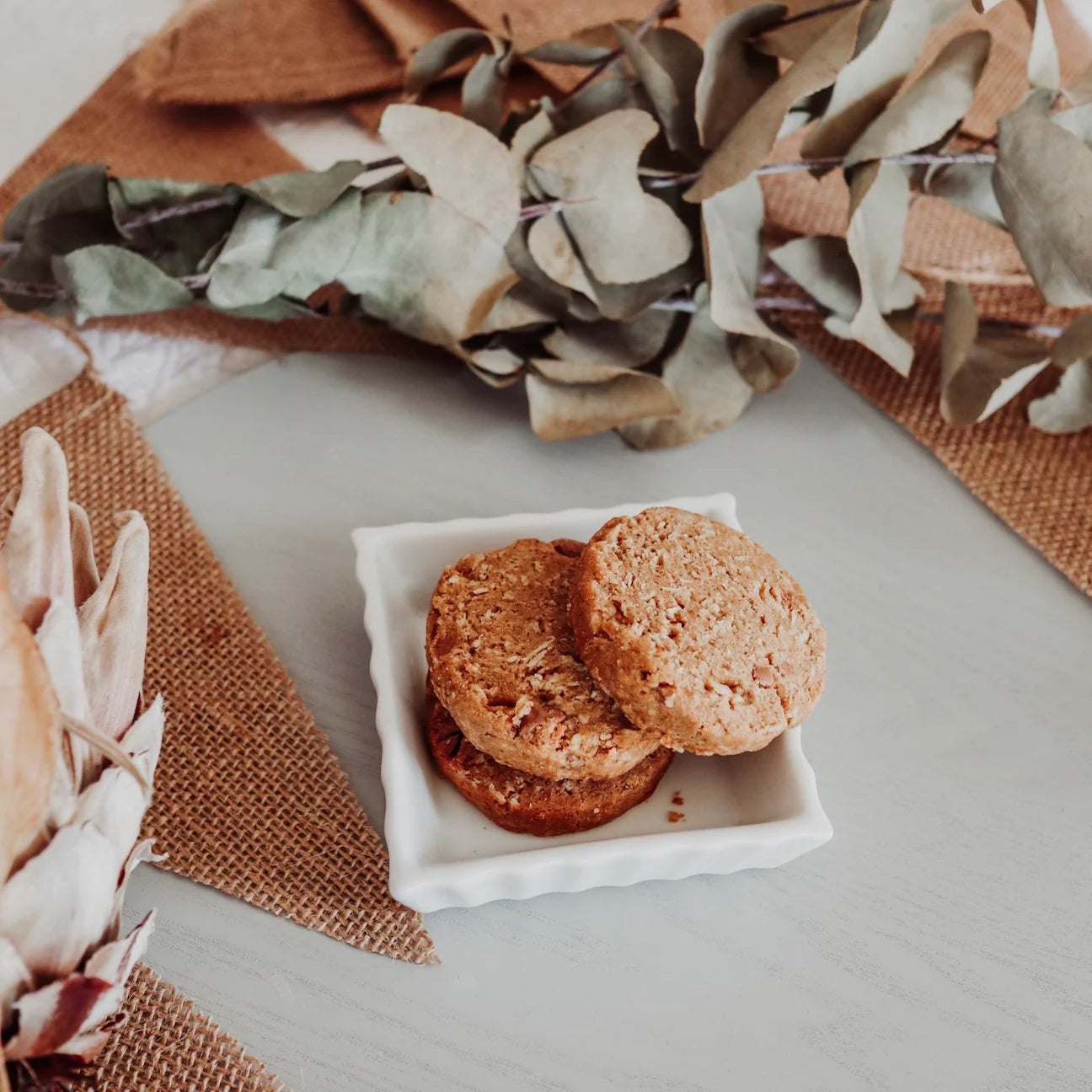 Milky Goodness Chocolate Chip Lactation Cookies