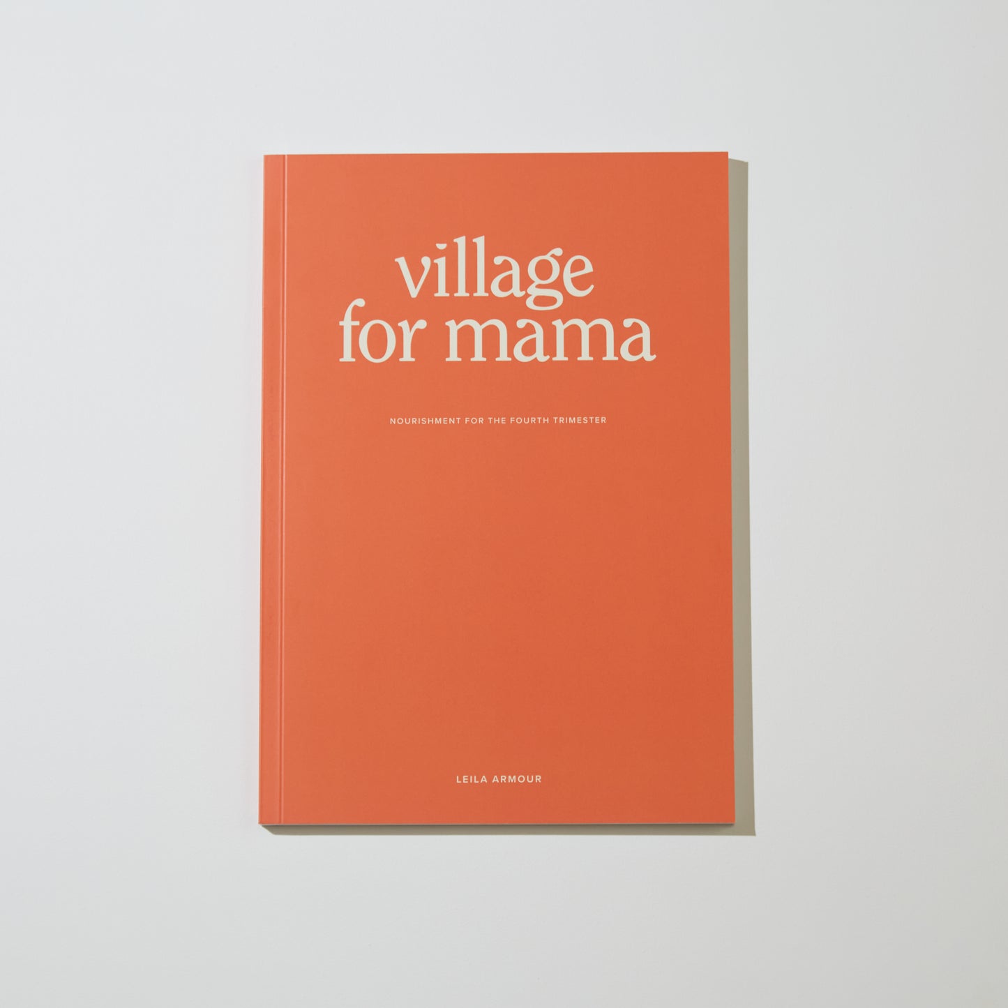 Village for Mama Book