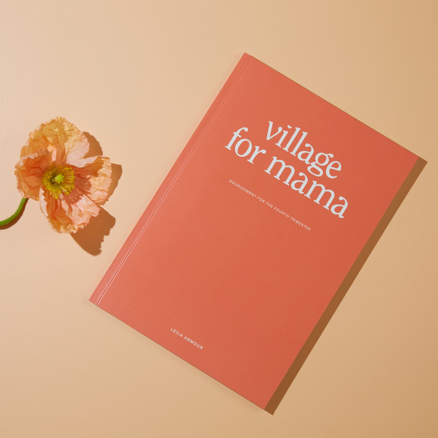 Village for Mama Book