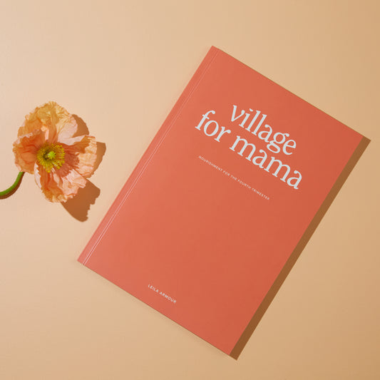 Village for Mama Book