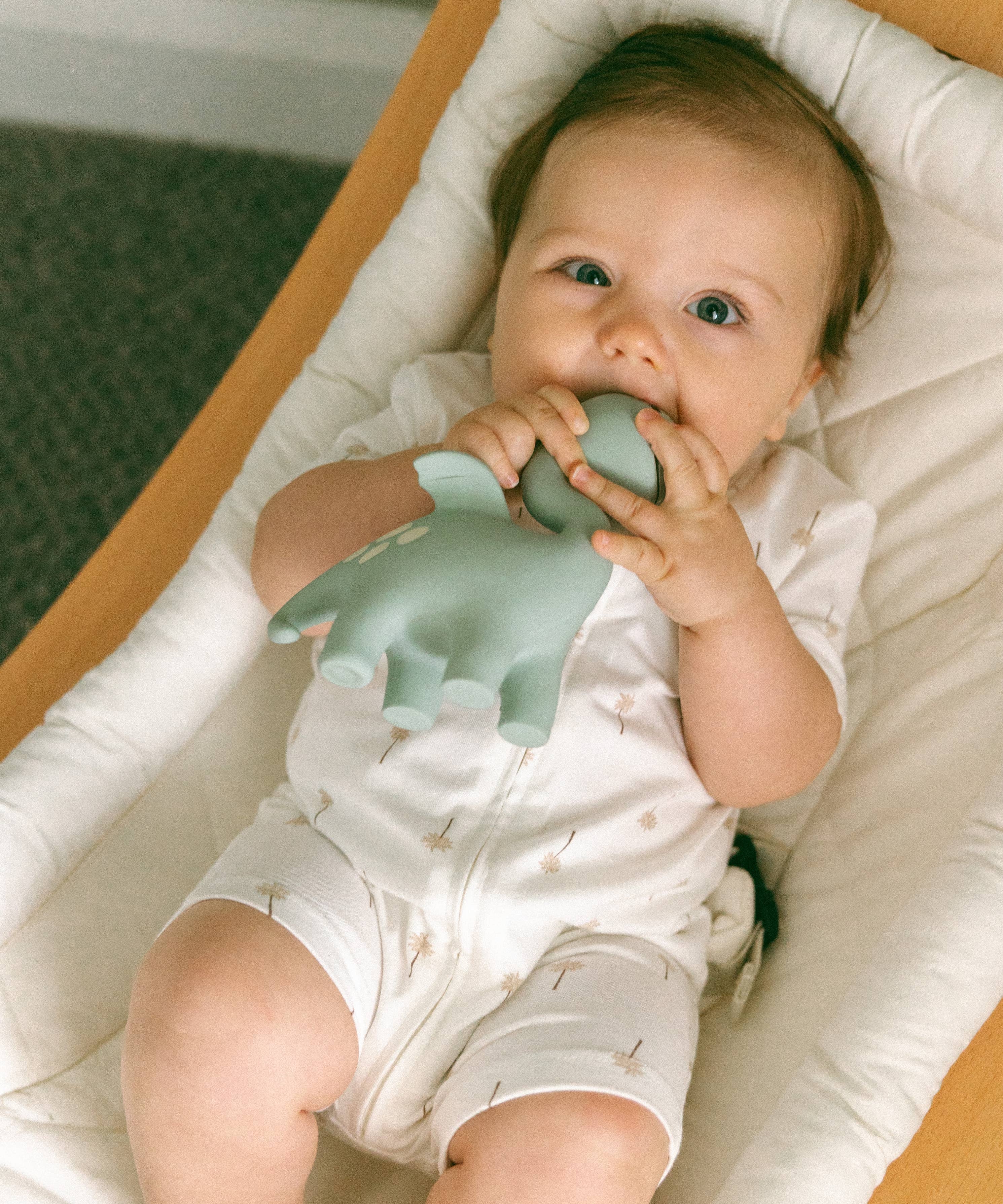 Diplo the Dino-Dragon Natural Rubber Teether