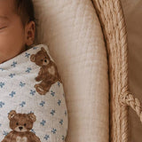 Teddy Bear Picnic // Swaddle