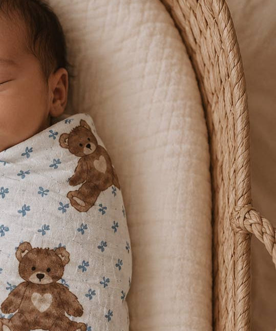 Teddy Bear Picnic // Swaddle