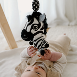 Ziggy the Zebra - Young Wonderer