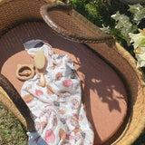 Shell Swaddle