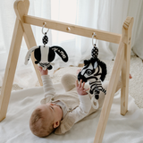 Ziggy the Zebra - Young Wonderer