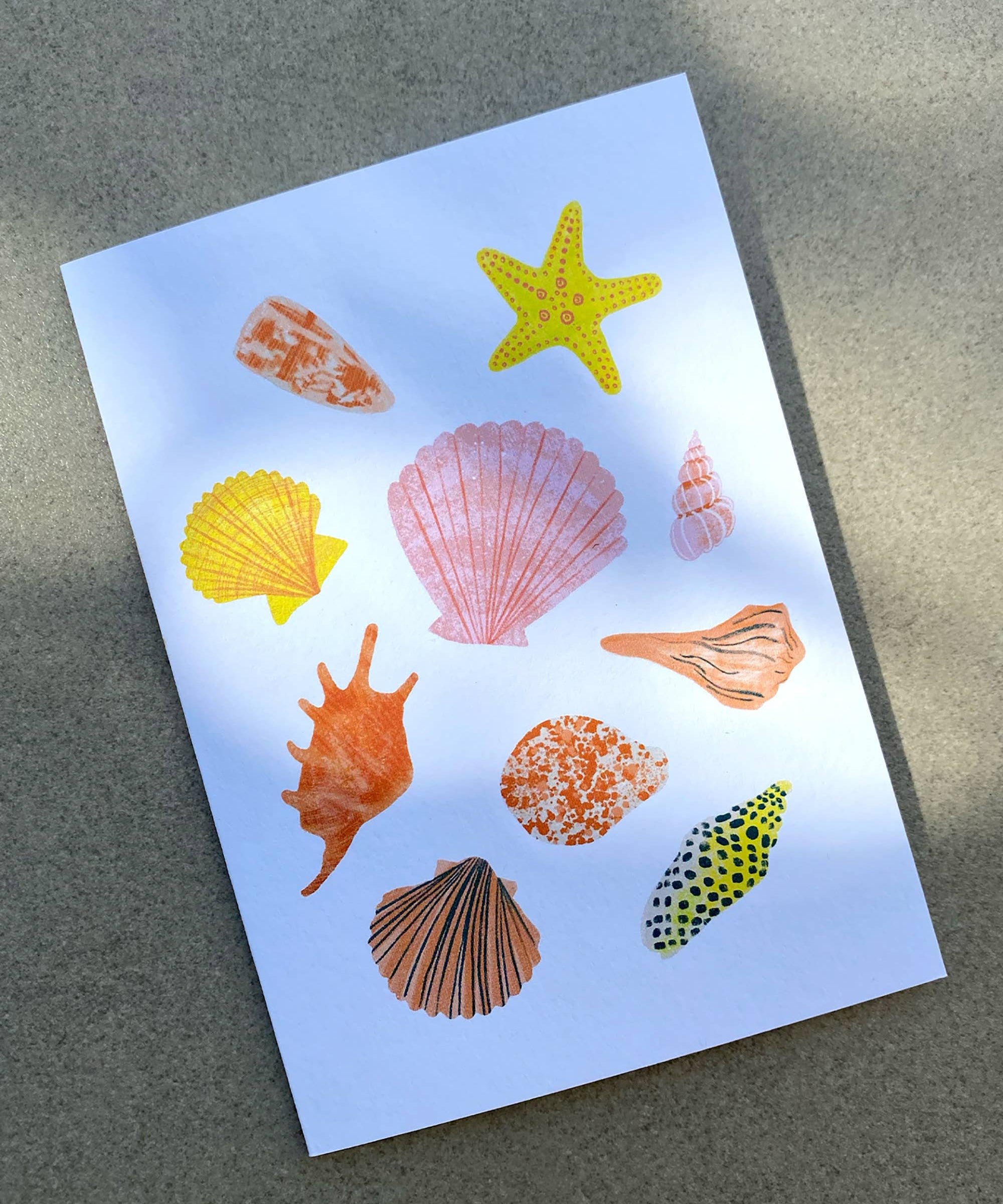 Seashells Greeting Card - Illustrated Shells Card | Beach
