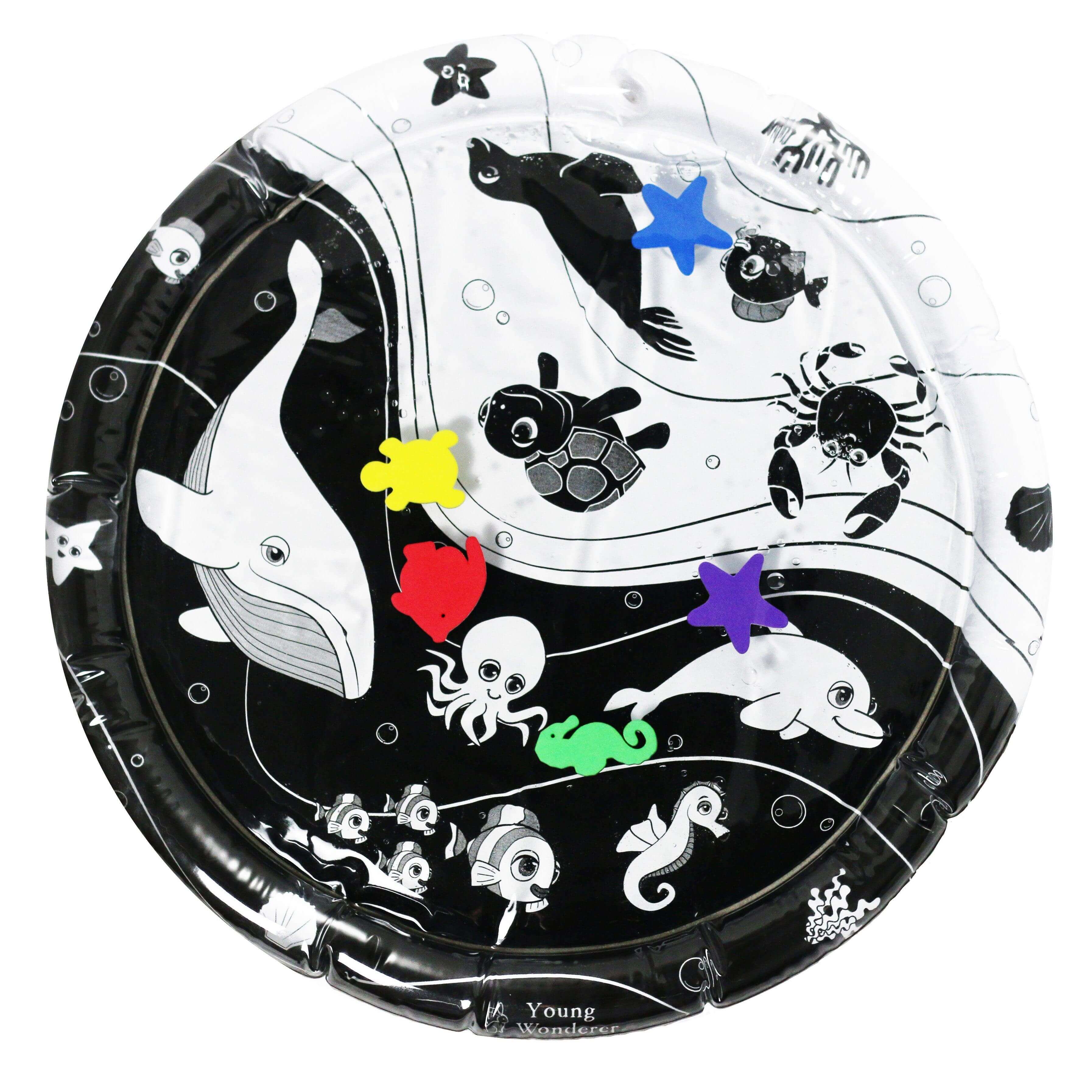 Slide image
