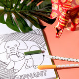 Alphabet Safari Colouring Kit - J.O.S
