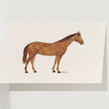 Horse // Card