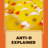Anti-D Explained - Dr Sara Wickham