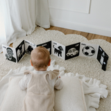 Hello Little One High Contrast Baby Gift Set - Young Wonderer