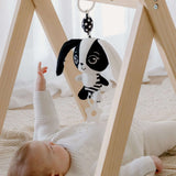 Hello Little One High Contrast Baby Gift Set - Young Wonderer