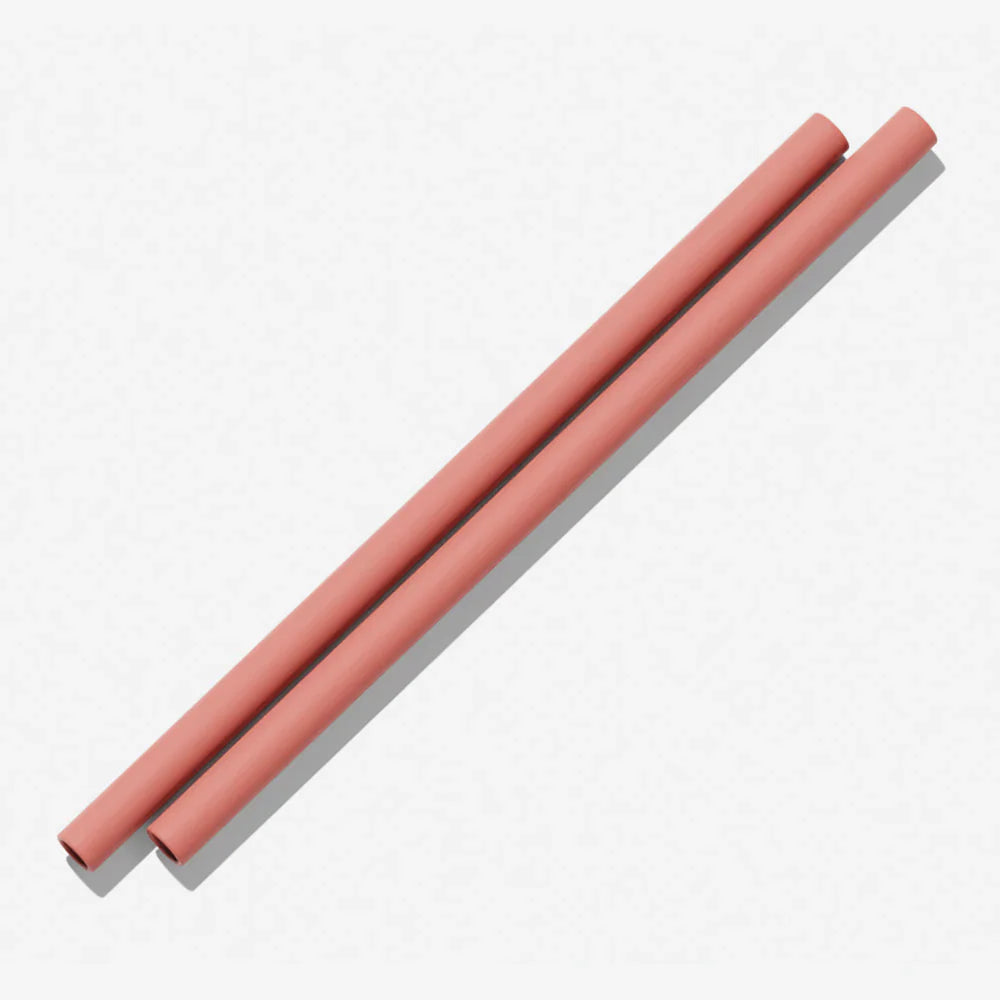 Bink - Silicone Straws (2 pack)