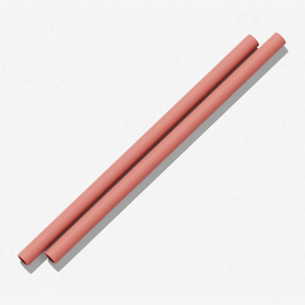 Silicone Straw (2 pack) Clay