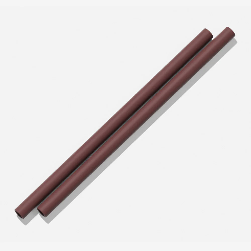 Silicone Straw (2 pack) Coco